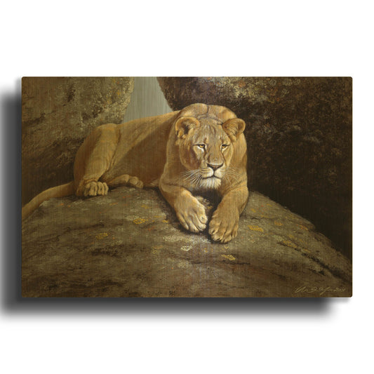 'Lioness' By Harro Maass Gold Metal Wall Art