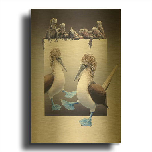 'Bluefooted Boobies And Marine Iguanas' By Harro Maass Gold Metal Wall Art