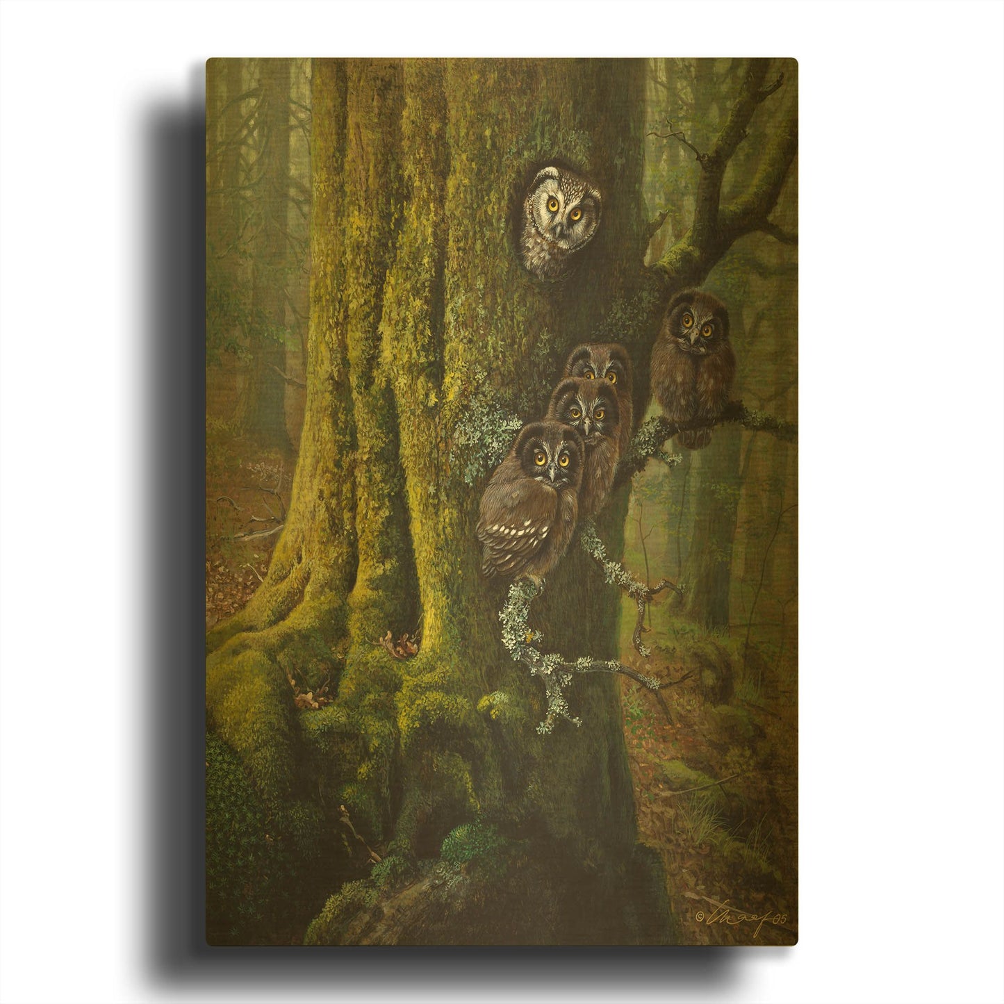 'Tengmalms Owls' By Harro Maass Gold Metal Wall Art