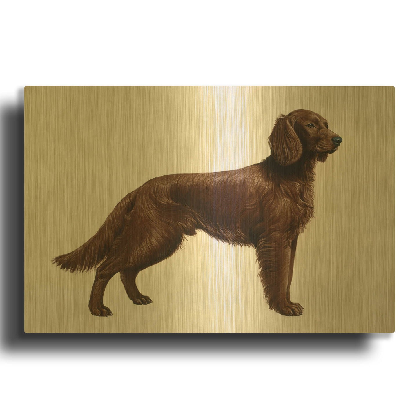 'Irish Setters' By Harro Maass Gold Metal Wall Art