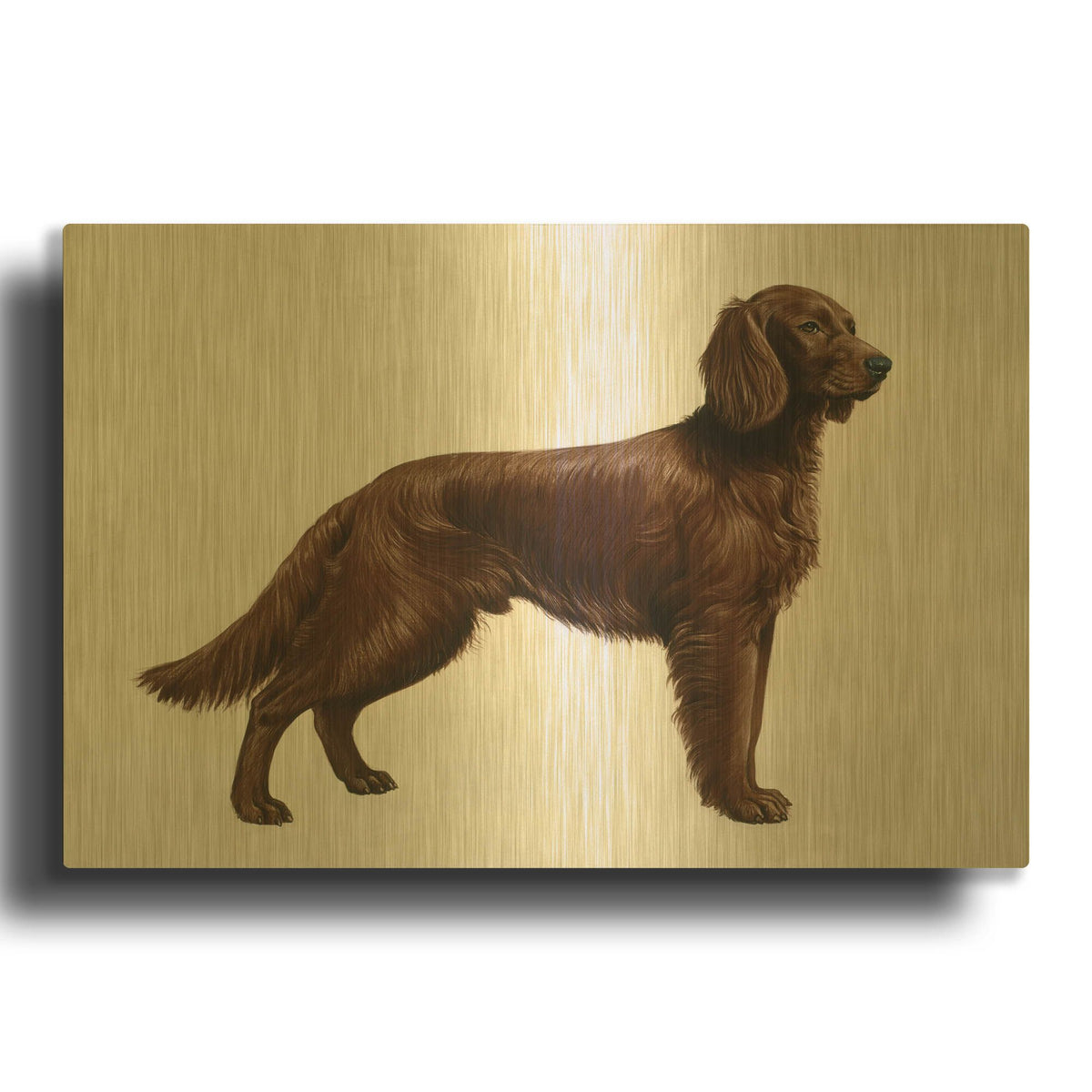'Irish Setters' By Harro Maass Gold Metal Wall Art
