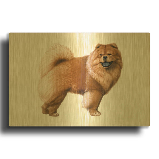 'Chow Chow' By Harro Maass Gold Metal Wall Art