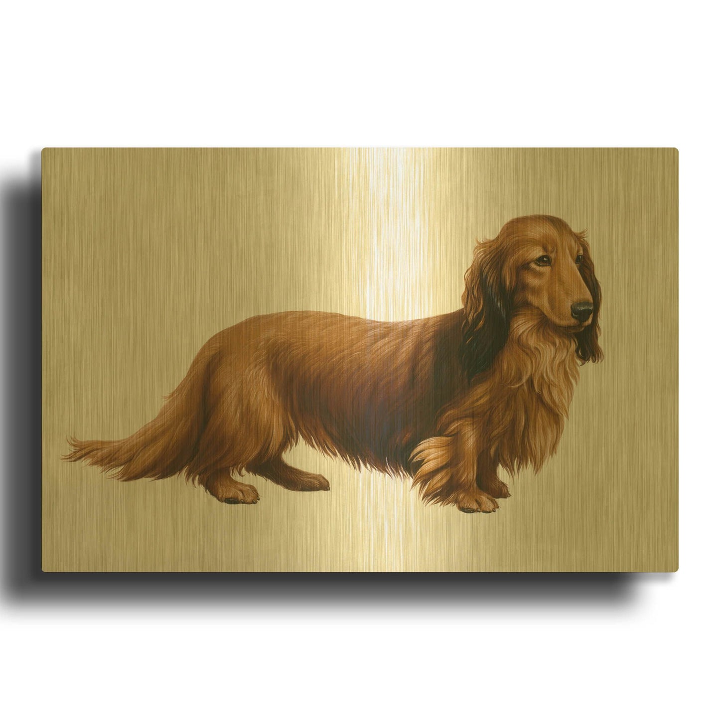 'Dachsund' By Harro Maass Gold Metal Wall Art