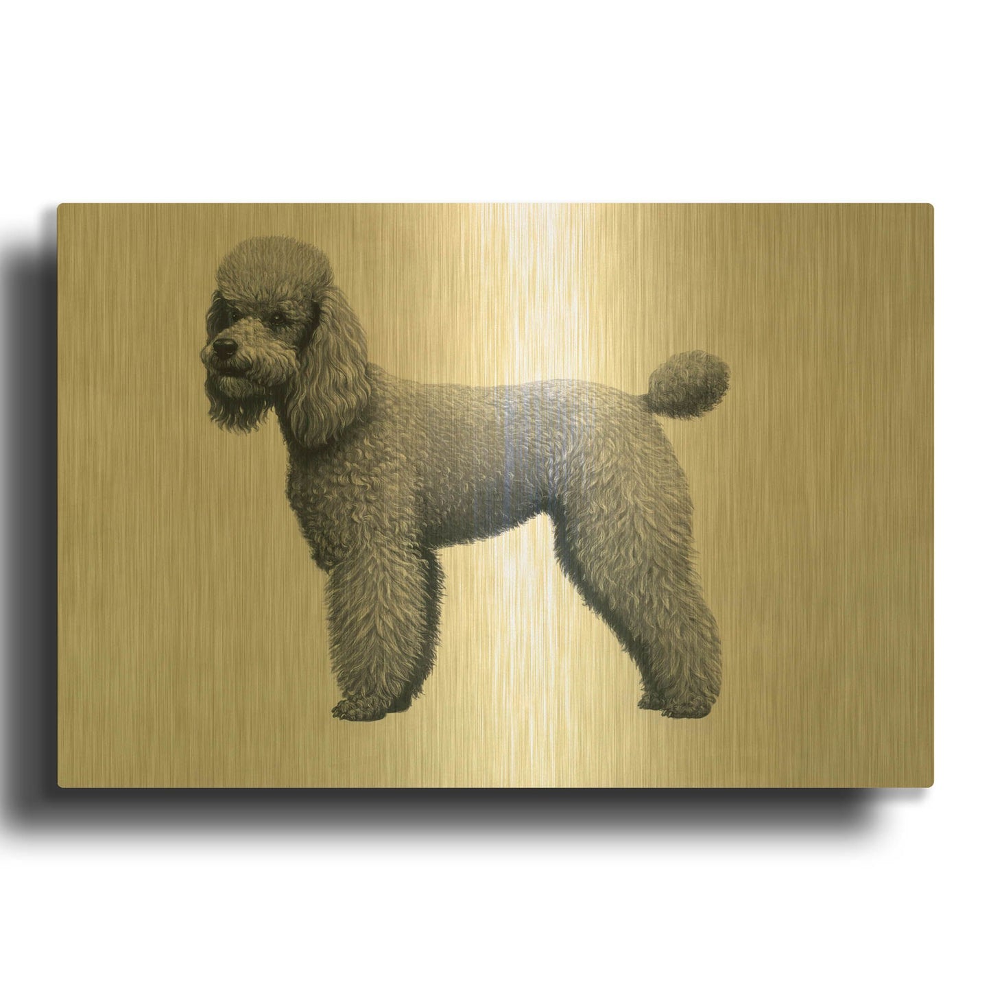 'Poodle' By Harro Maass Gold Metal Wall Art