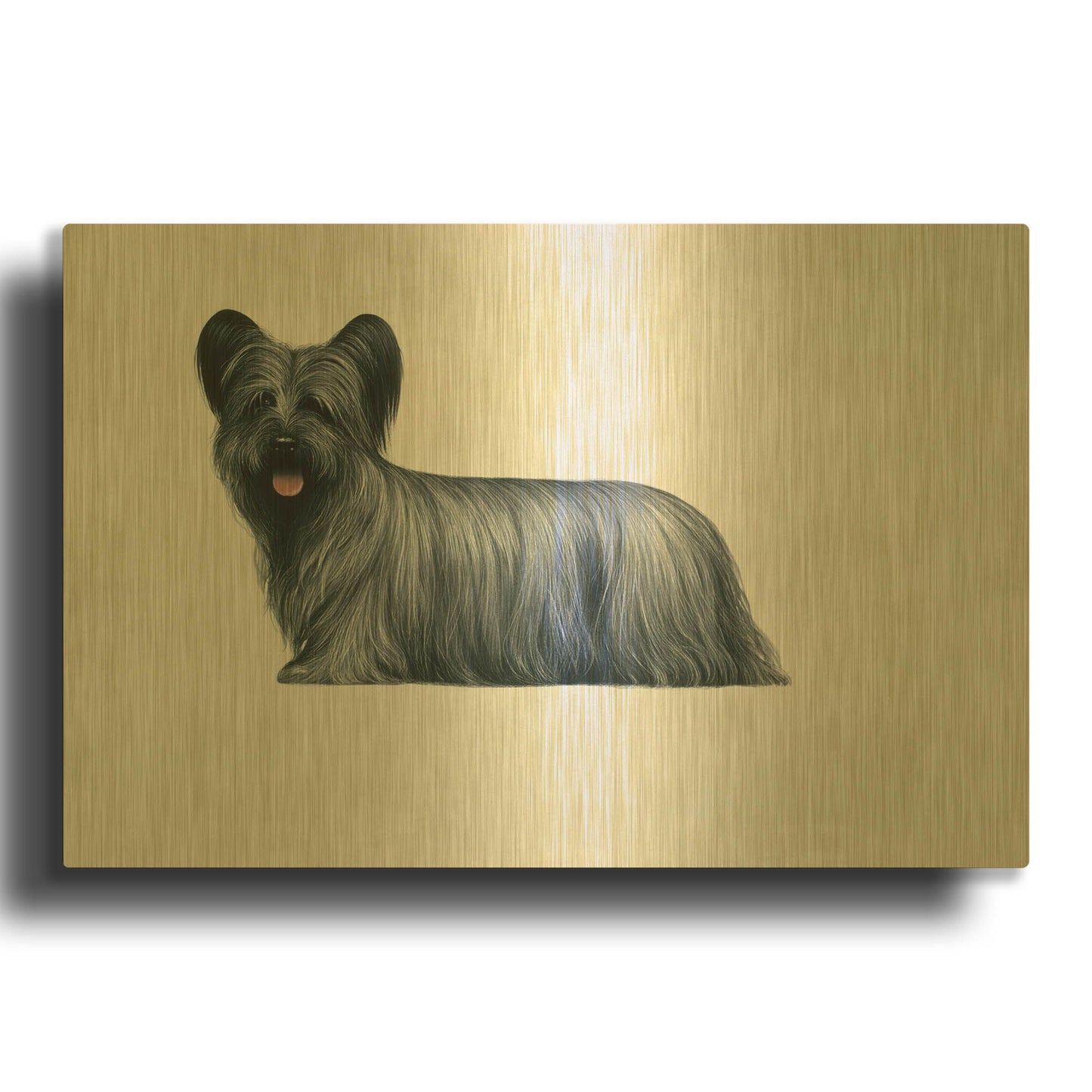 'Sky Terrier' By Harro Maass Gold Metal Wall Art