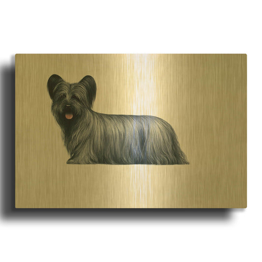 'Sky Terrier' By Harro Maass Gold Metal Wall Art