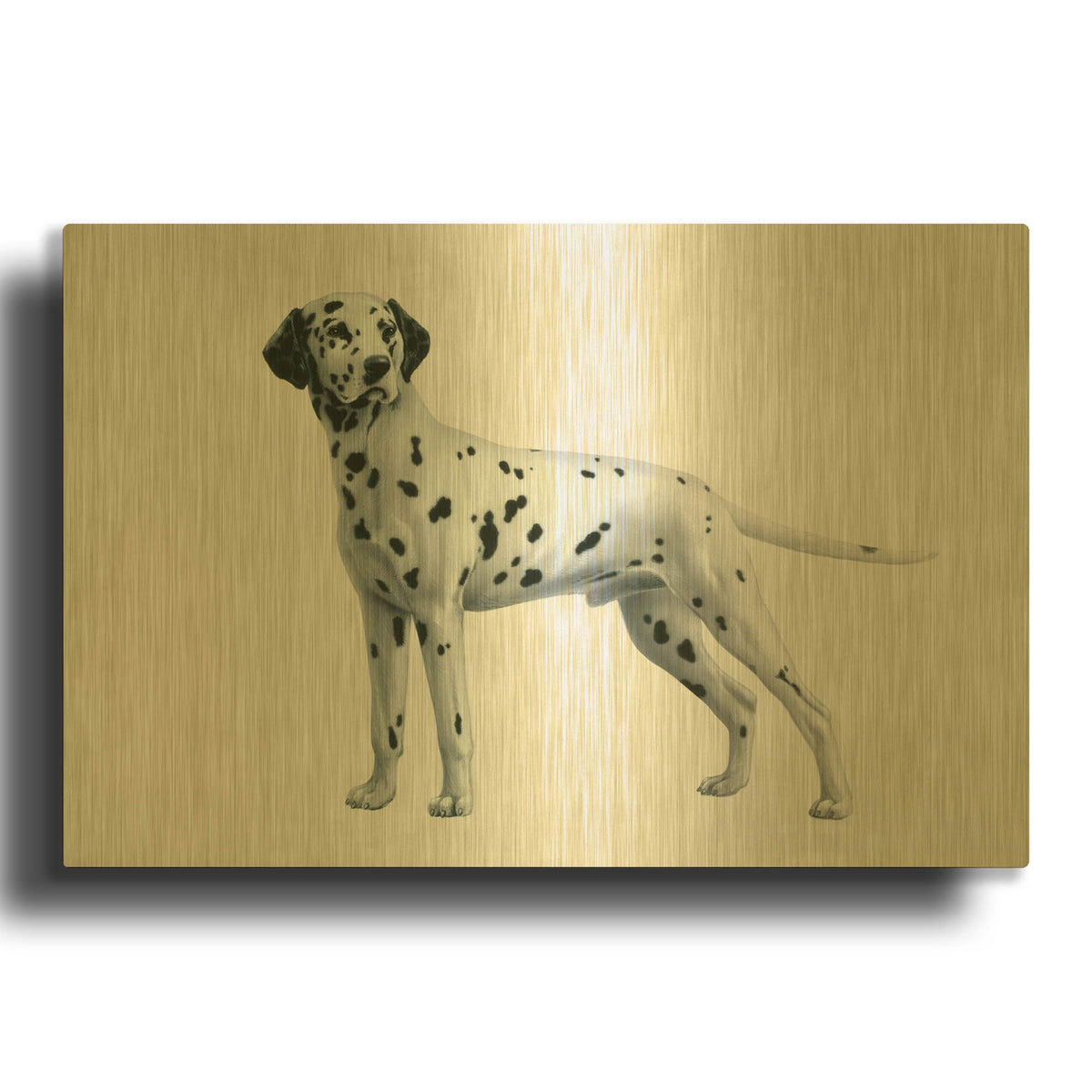 'Dalmatian' By Harro Maass Gold Metal Wall Art