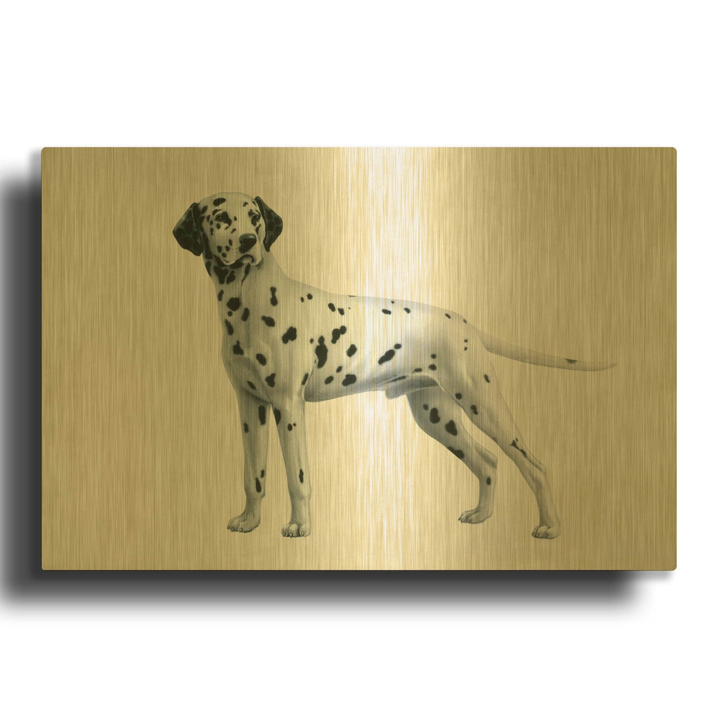 'Dalmatian' By Harro Maass Gold Metal Wall Art