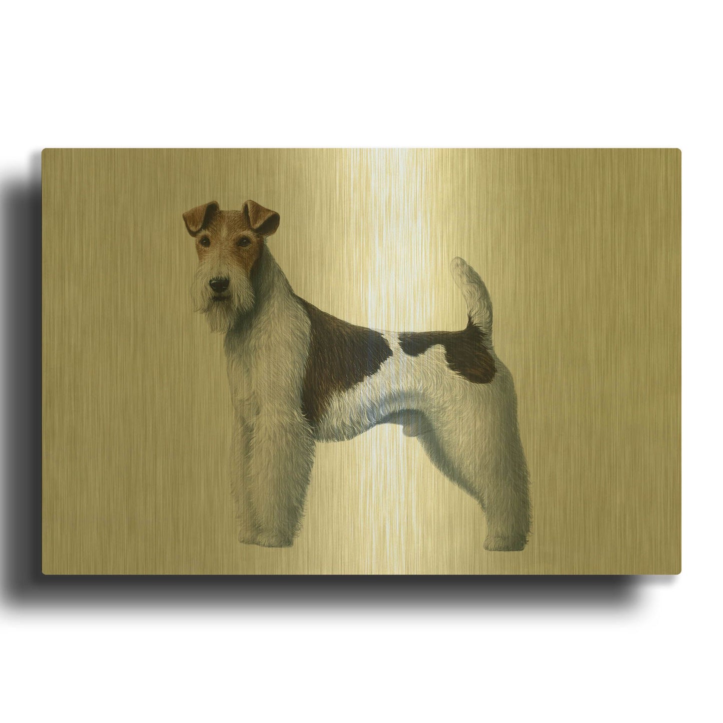 'Fox Terrier' By Harro Maass Gold Metal Wall Art