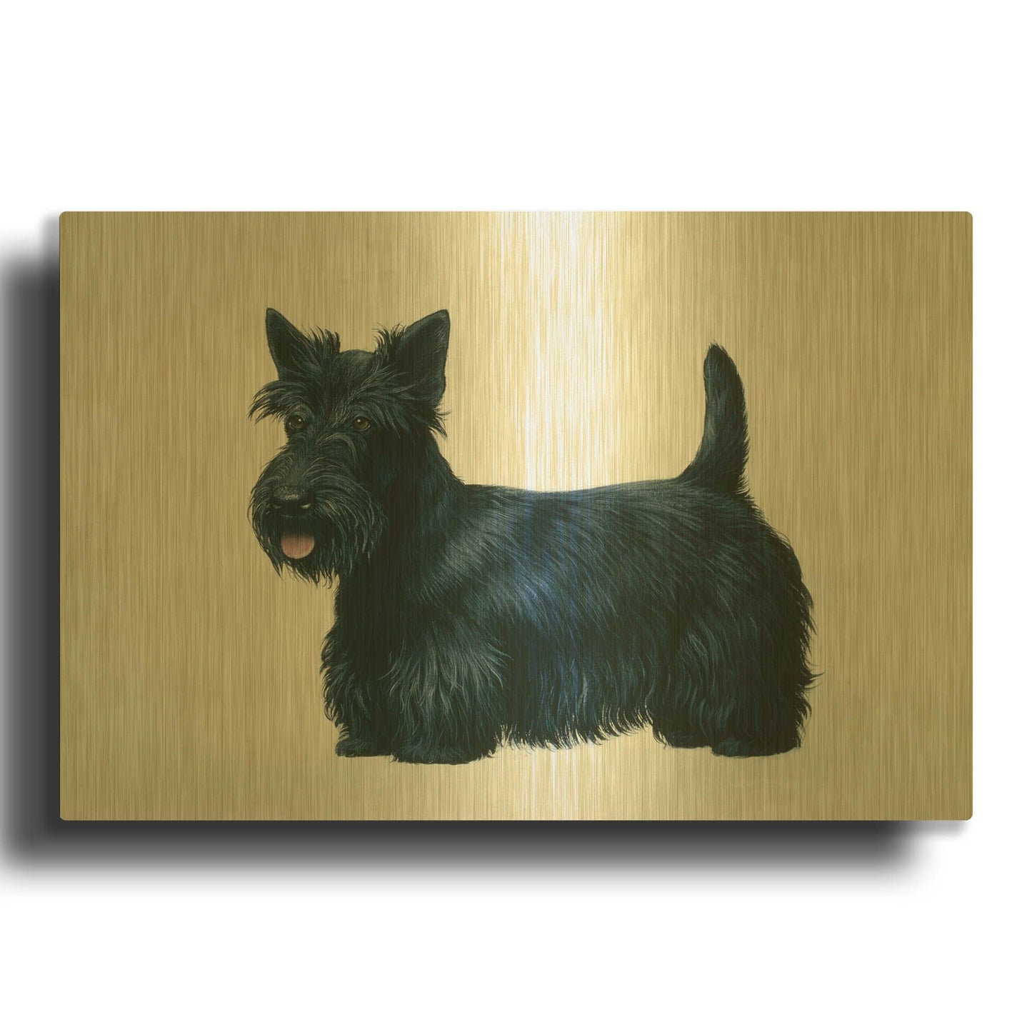 'Scottish Terrier' By Harro Maass Gold Metal Wall Art