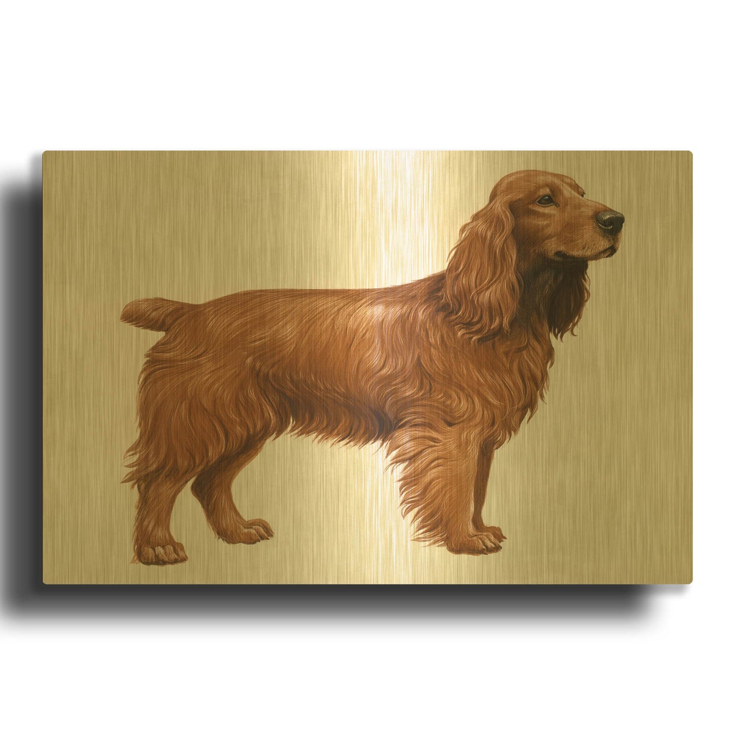 'Cocker Spaniel' By Harro Maass Gold Metal Wall Art