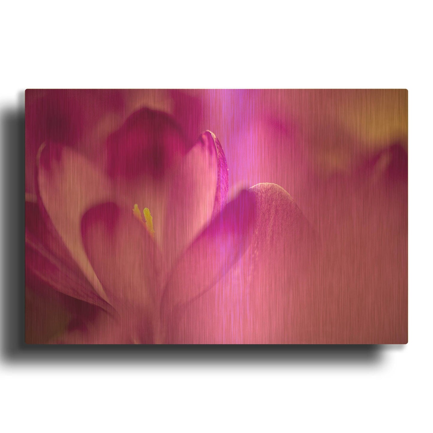 'Purple Flower Study' By Istvan Nagy Gold Metal Wall Art
