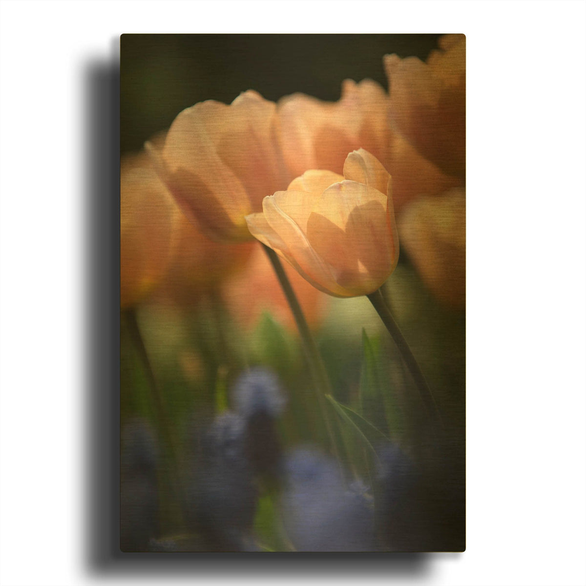 'Tulip No 1' By Istvan Nagy Gold Metal Wall Art