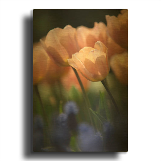 'Tulip No 1' By Istvan Nagy Gold Metal Wall Art