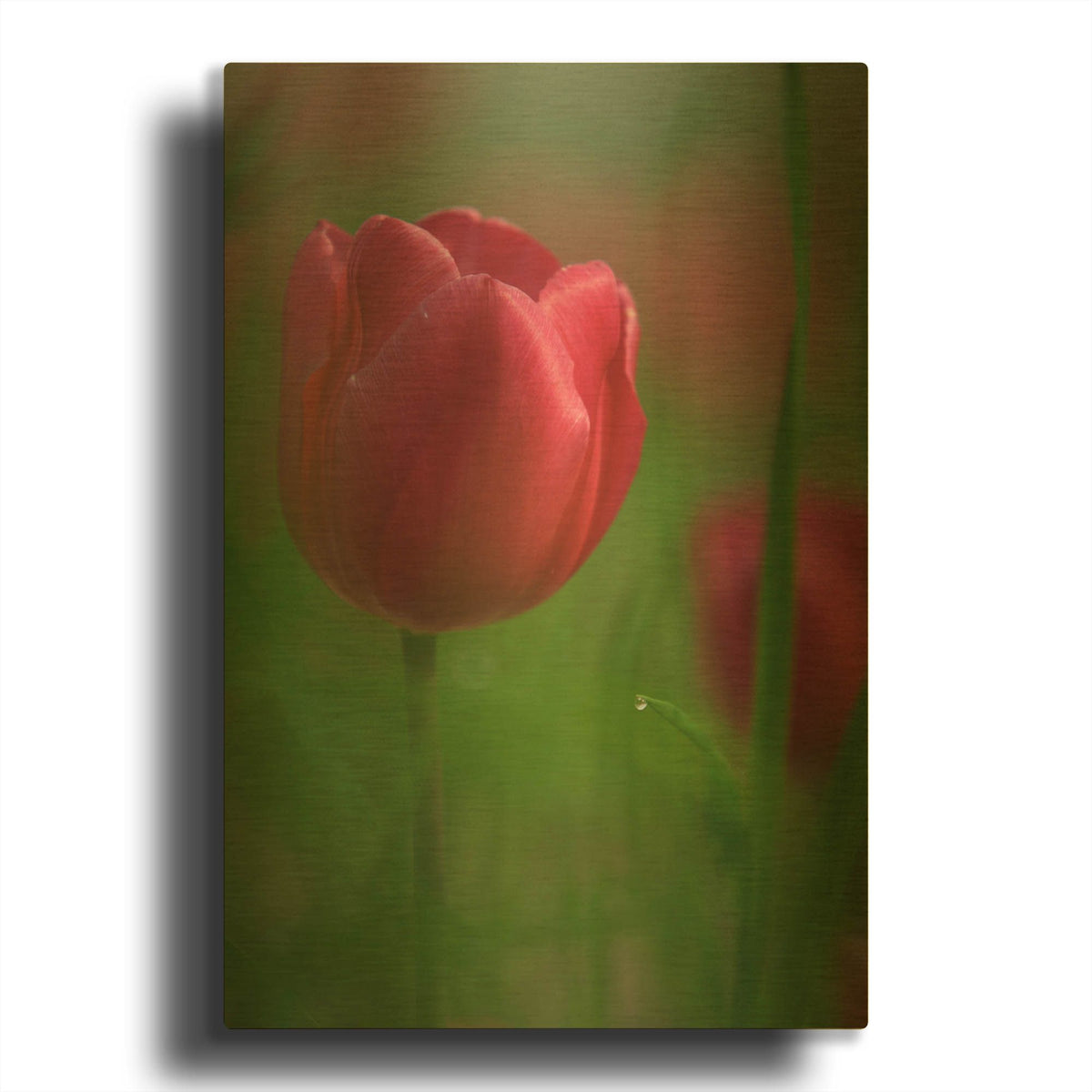 'Tulip No 2' By Istvan Nagy Gold Metal Wall Art