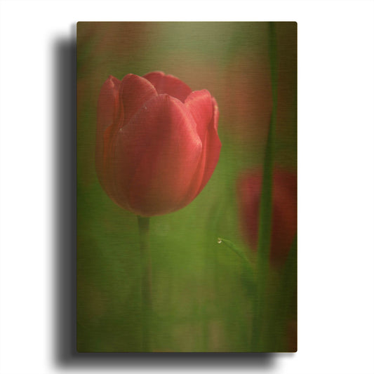 'Tulip No 2' By Istvan Nagy Gold Metal Wall Art