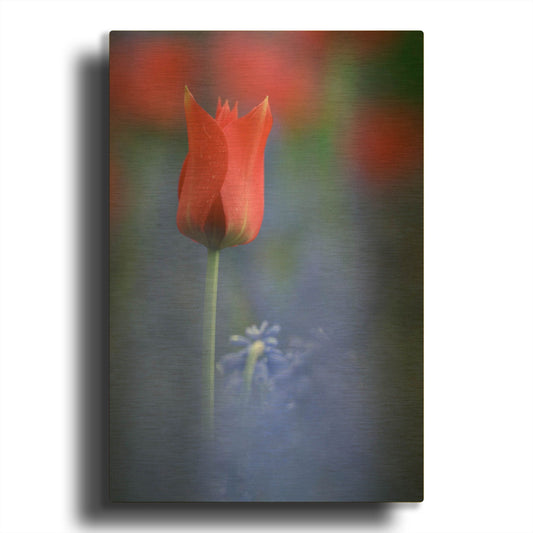 'Tulip No 3' By Istvan Nagy Gold Metal Wall Art