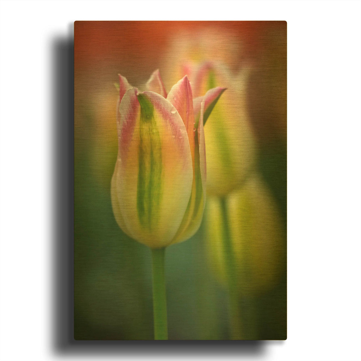 'Tulip No 4' By Istvan Nagy Gold Metal Wall Art