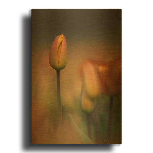 'Tulip No 5' By Istvan Nagy Gold Metal Wall Art