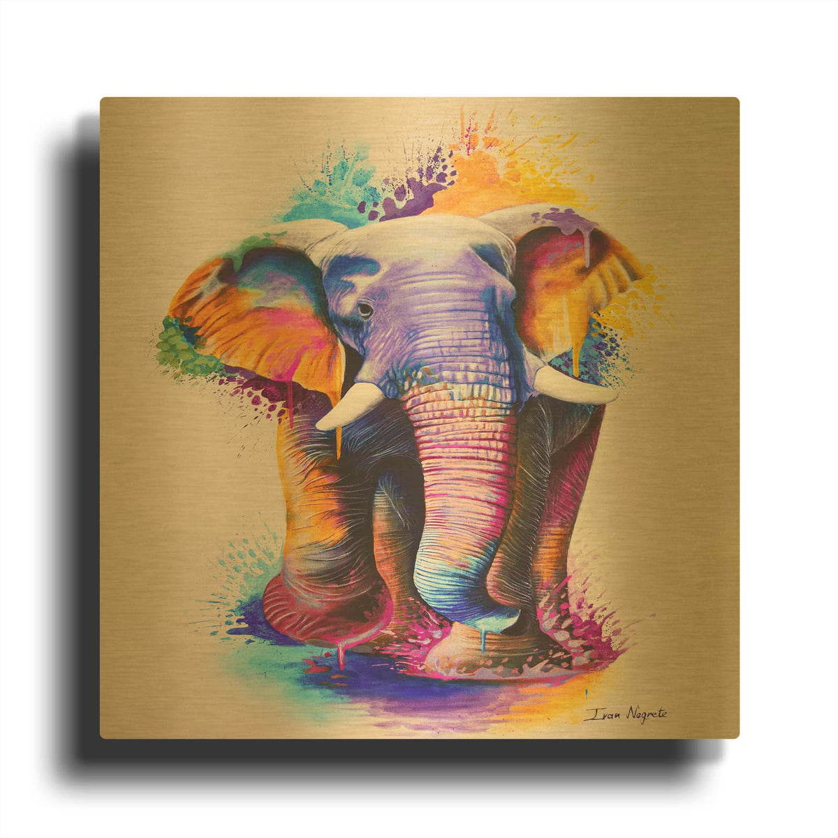 'Elephant Splash Colors' By Ivan Negrete Gold Metal Wall Art