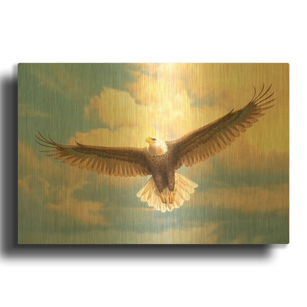 'Bald Eagle' By Joh Naito Gold Metal Wall Art
