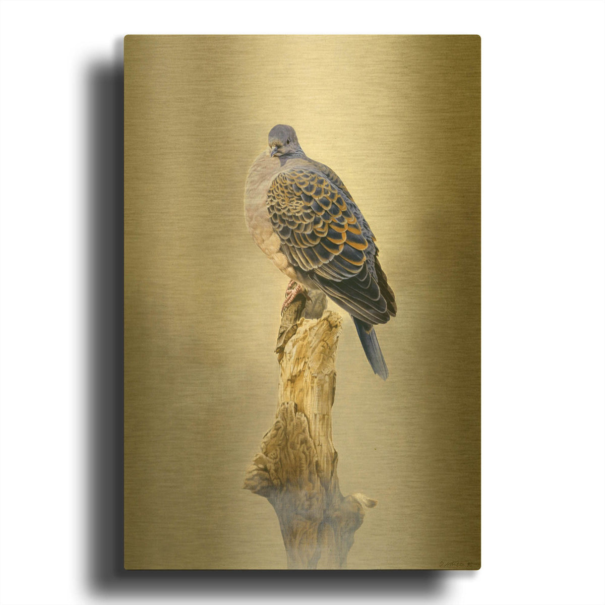 'Turtle Dove' By Joh Naito Gold Metal Wall Art