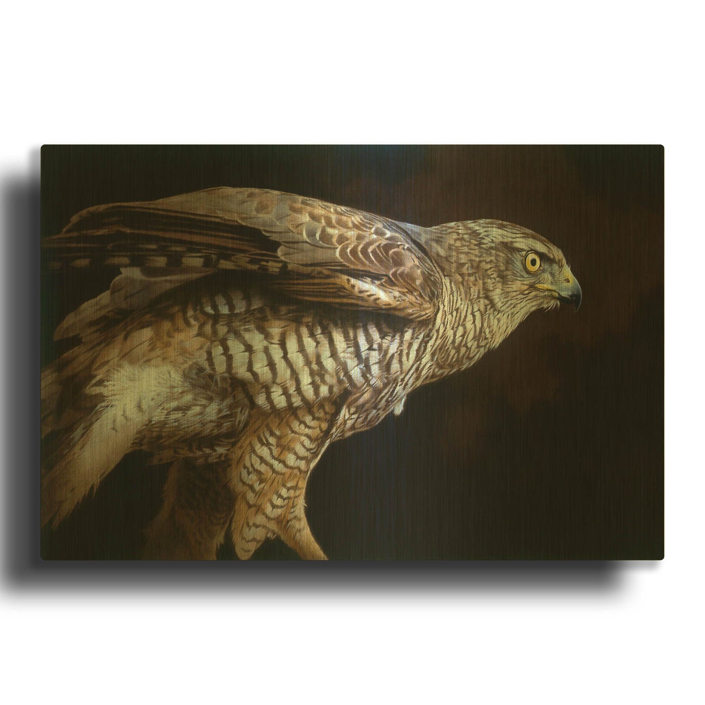 'Watchful' By Joh Naito Gold Metal Wall Art