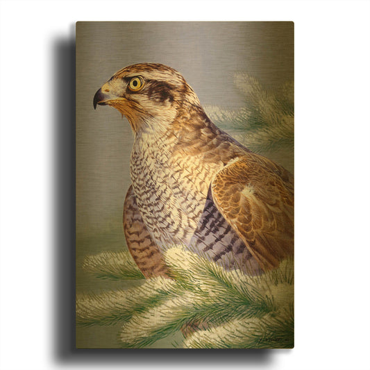 'Basking' By Joh Naito Gold Metal Wall Art