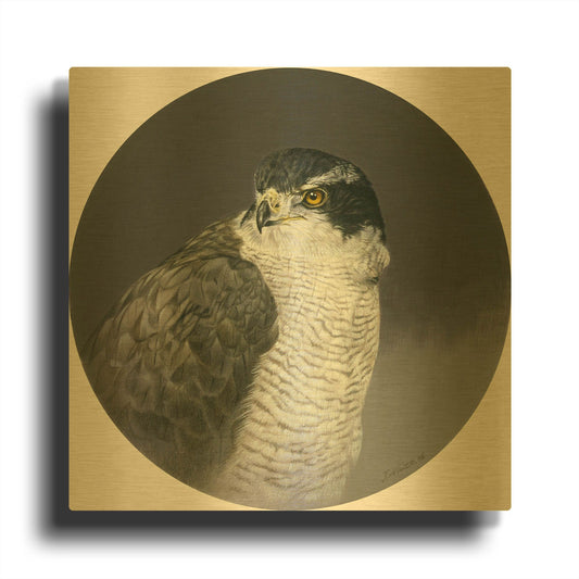'Poised' By Joh Naito Gold Metal Wall Art
