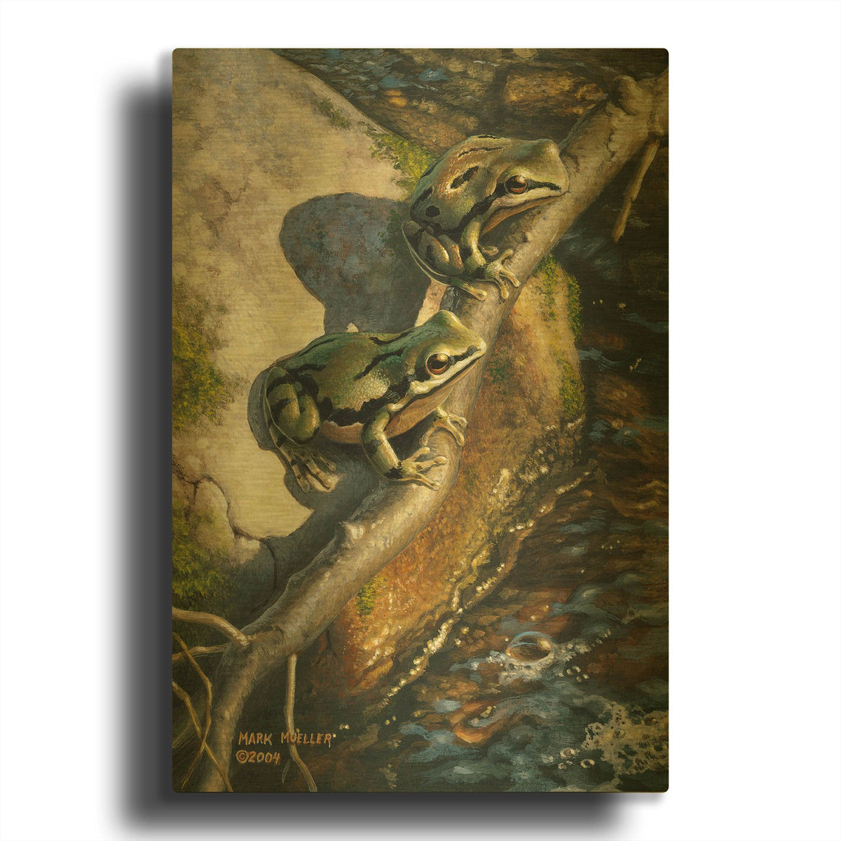 'Arizona Tree Frogs' By Mark Mueller Wildlife Art Gold Metal Wall Art