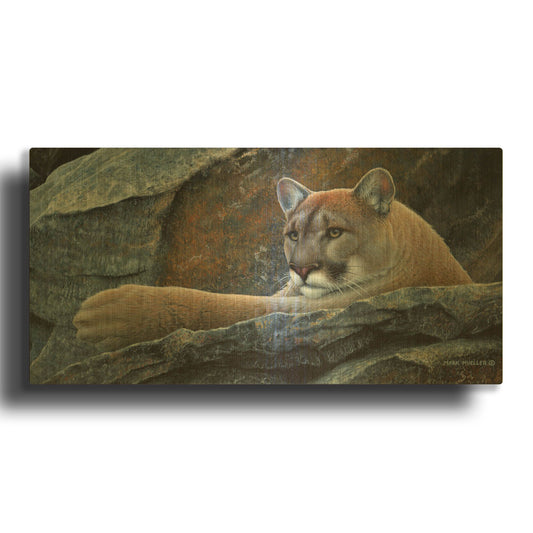 'Between a Rock and a Hard Place - Cougar' By Mark Mueller Wildlife Art Gold Metal Wall Art