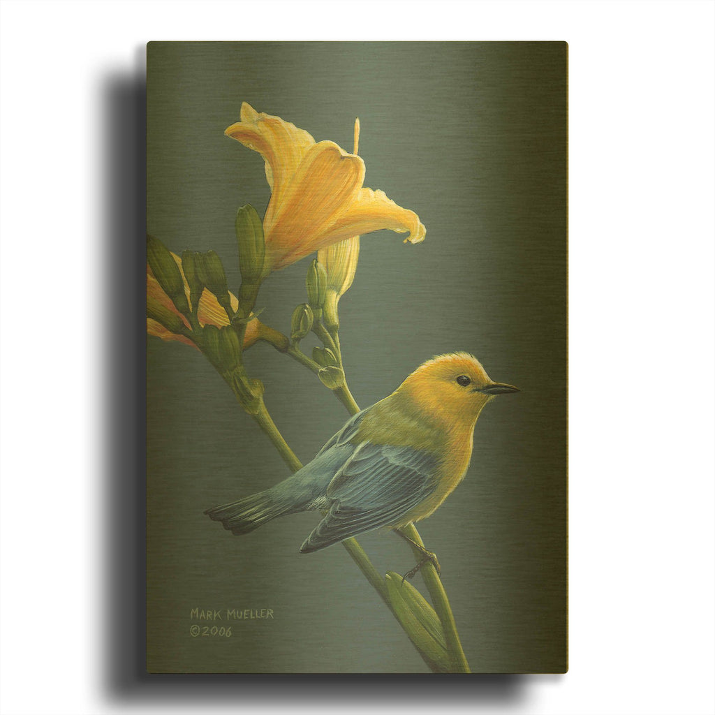 'Colors of Summer - Prothonotary Warbler' By Mark Mueller Wildlife Art Gold Metal Wall Art
