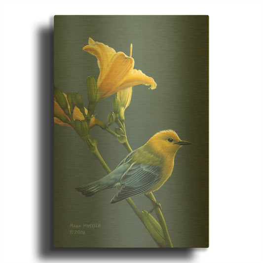 'Colors of Summer - Prothonotary Warbler' By Mark Mueller Wildlife Art Gold Metal Wall Art