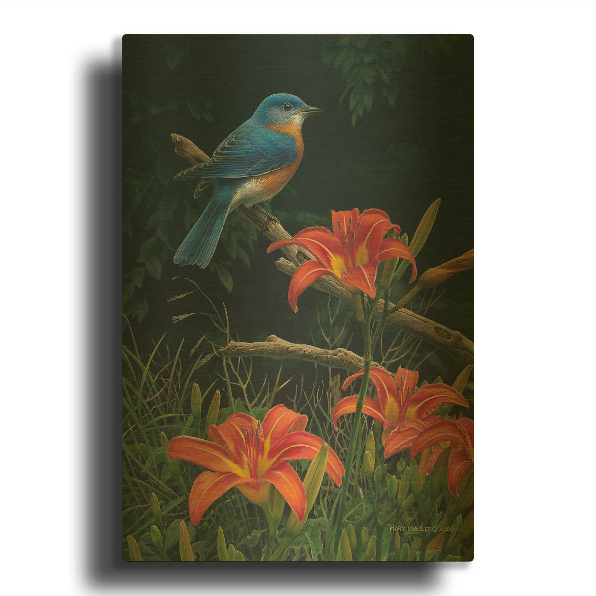'Edge of the Woods - Bluebird and Daylilies' By Mark Mueller Wildlife Art Gold Metal Wall Art
