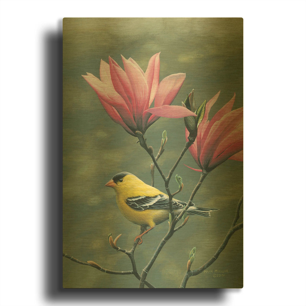 'Emergence - Goldfinch and Japanese Magnolia' By Mark Mueller Wildlife Art Gold Metal Wall Art