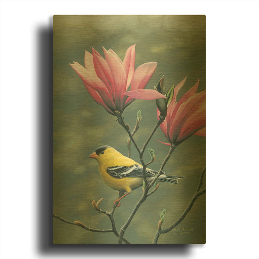 'Emergence - Goldfinch and Japanese Magnolia' By Mark Mueller Wildlife Art Gold Metal Wall Art
