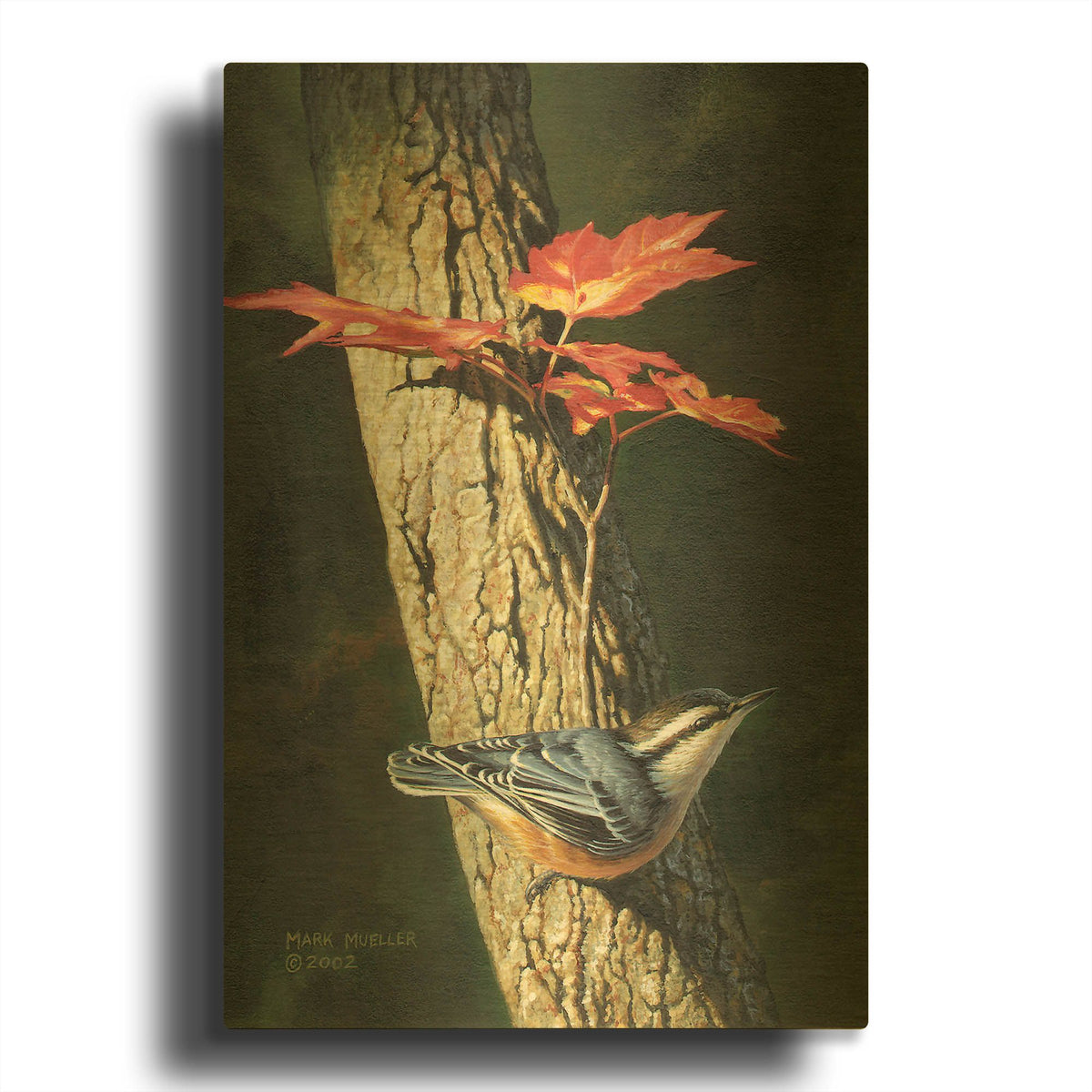 'Fall - Red-breasted Nuthatch' By Mark Mueller Wildlife Art Gold Metal Wall Art