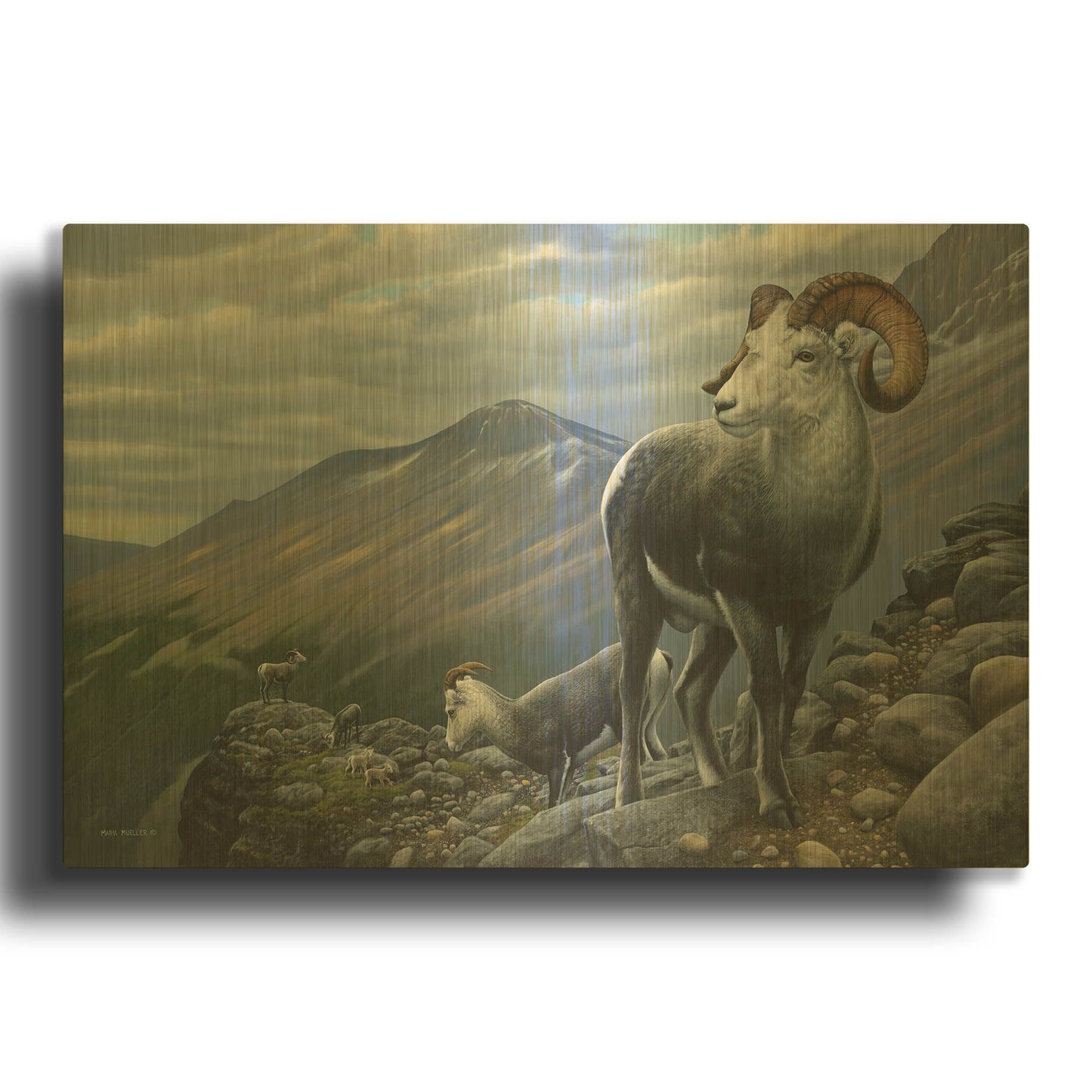 'Generations - Stone Sheep' By Mark Mueller Wildlife Art Gold Metal Wall Art