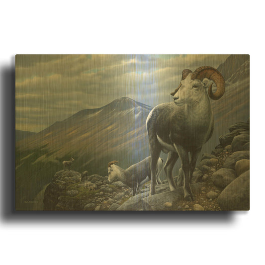 'Generations - Stone Sheep' By Mark Mueller Wildlife Art Gold Metal Wall Art