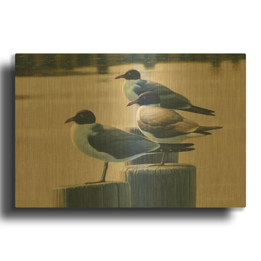'Hazy Hot and Humid - Laughing Gulls' By Mark Mueller Wildlife Art Gold Metal Wall Art