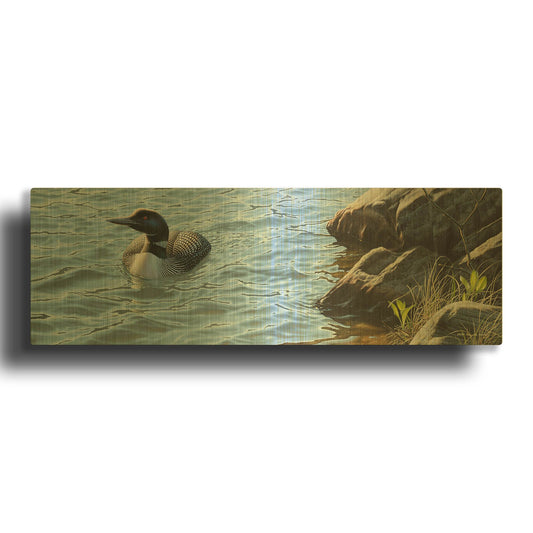 'On the Rocks - Loon' By Mark Mueller Wildlife Art Gold Metal Wall Art