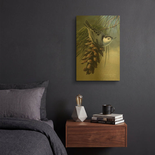 'Pine Cone Perch - White-breasted Nuthatch' By Mark Mueller Wildlife Art Gold Metal Wall Art