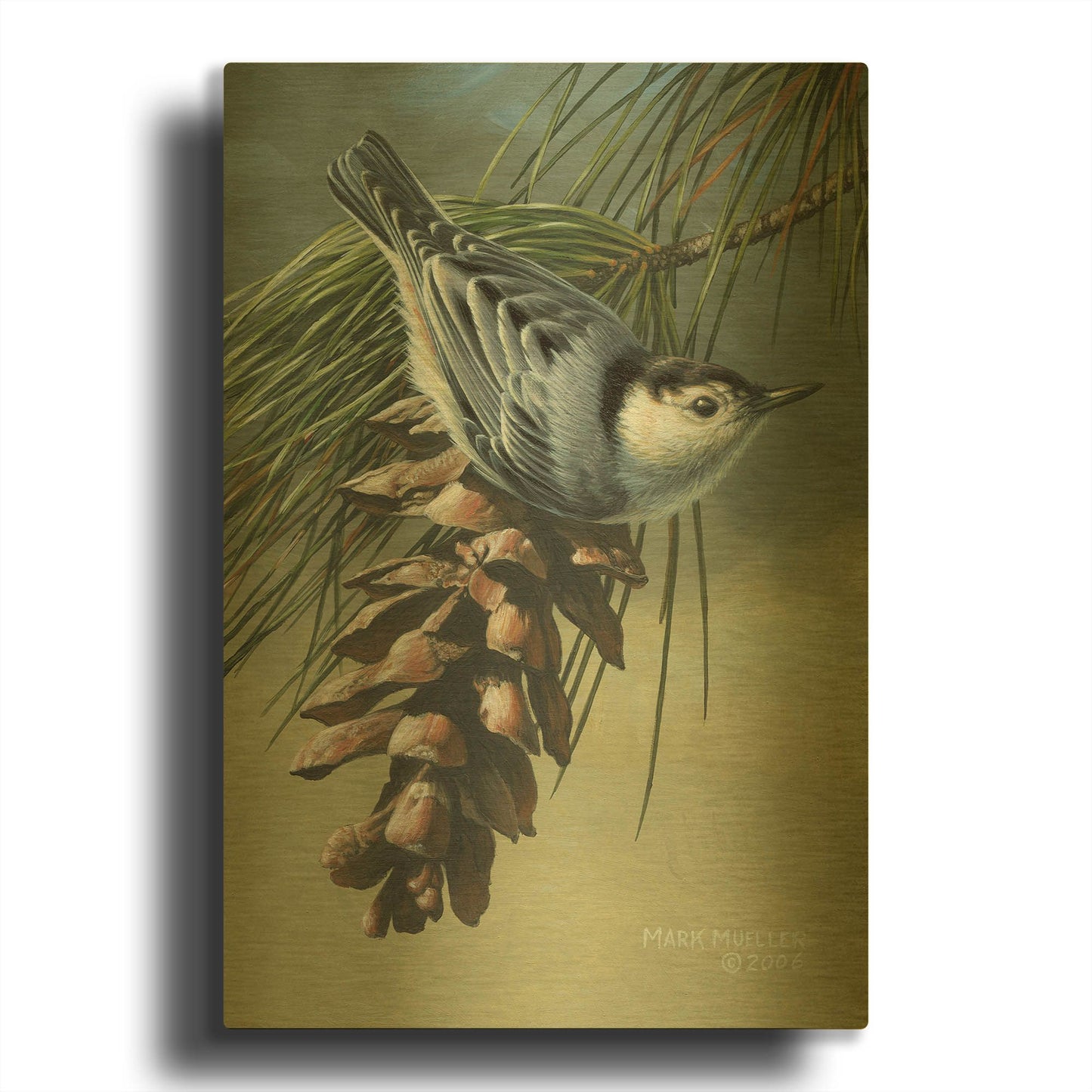 'Pine Cone Perch - White-breasted Nuthatch' By Mark Mueller Wildlife Art Gold Metal Wall Art