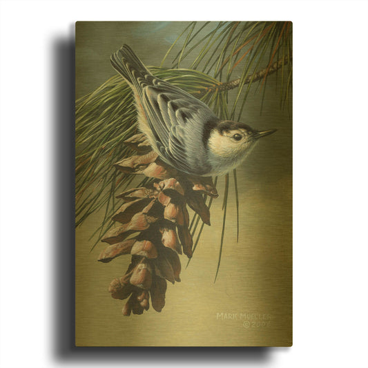 'Pine Cone Perch - White-breasted Nuthatch' By Mark Mueller Wildlife Art Gold Metal Wall Art