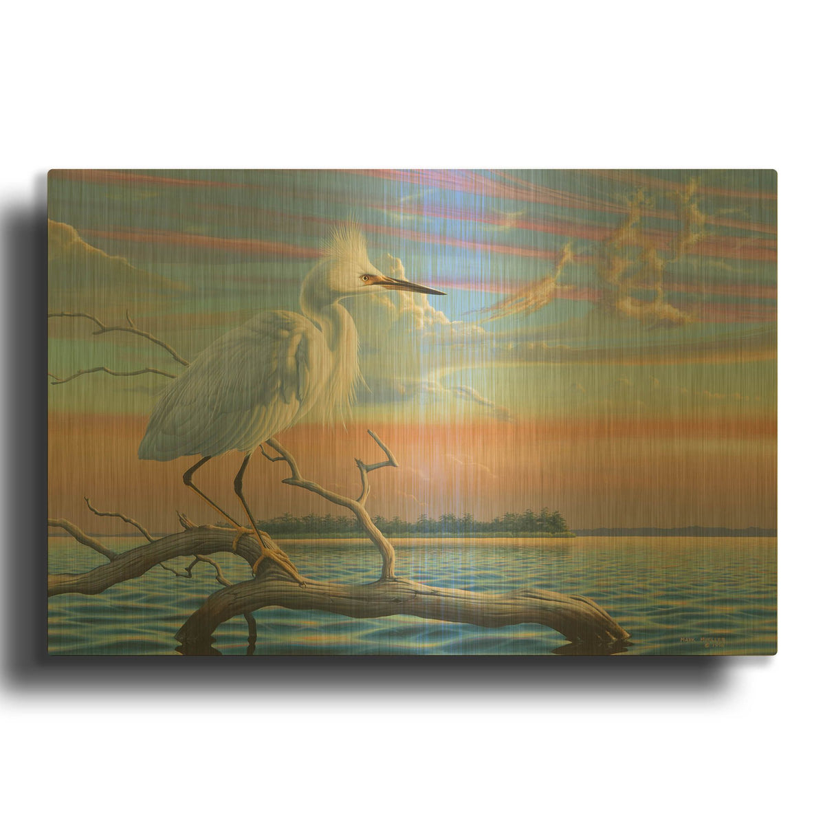 'Reflections - Snowy Egret' By Mark Mueller Wildlife Art Gold Metal Wall Art
