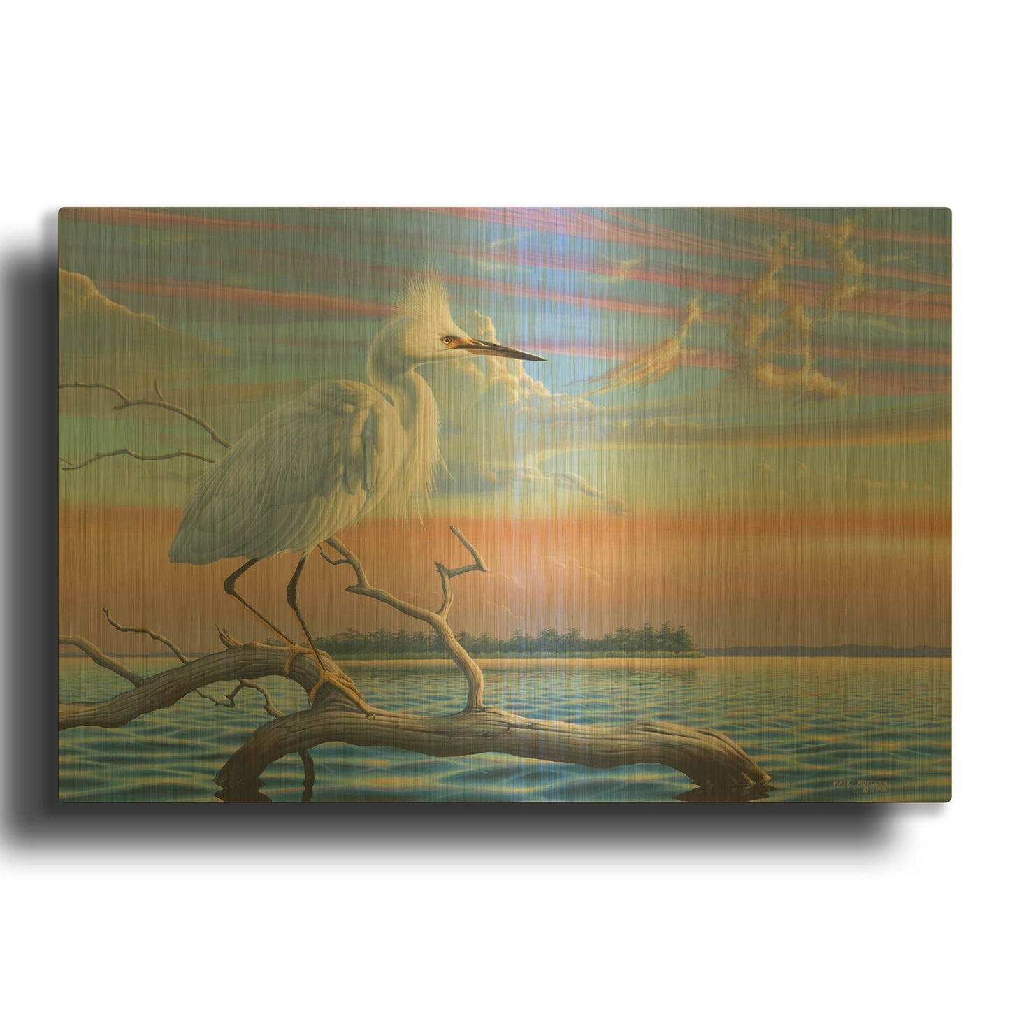'Reflections - Snowy Egret' By Mark Mueller Wildlife Art Gold Metal Wall Art