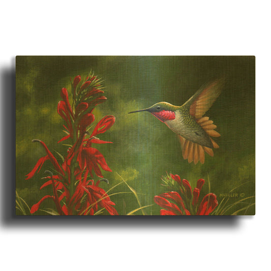 'Seeing Red - Hummingbird and Cardinal Flower' By Mark Mueller Wildlife Art Gold Metal Wall Art