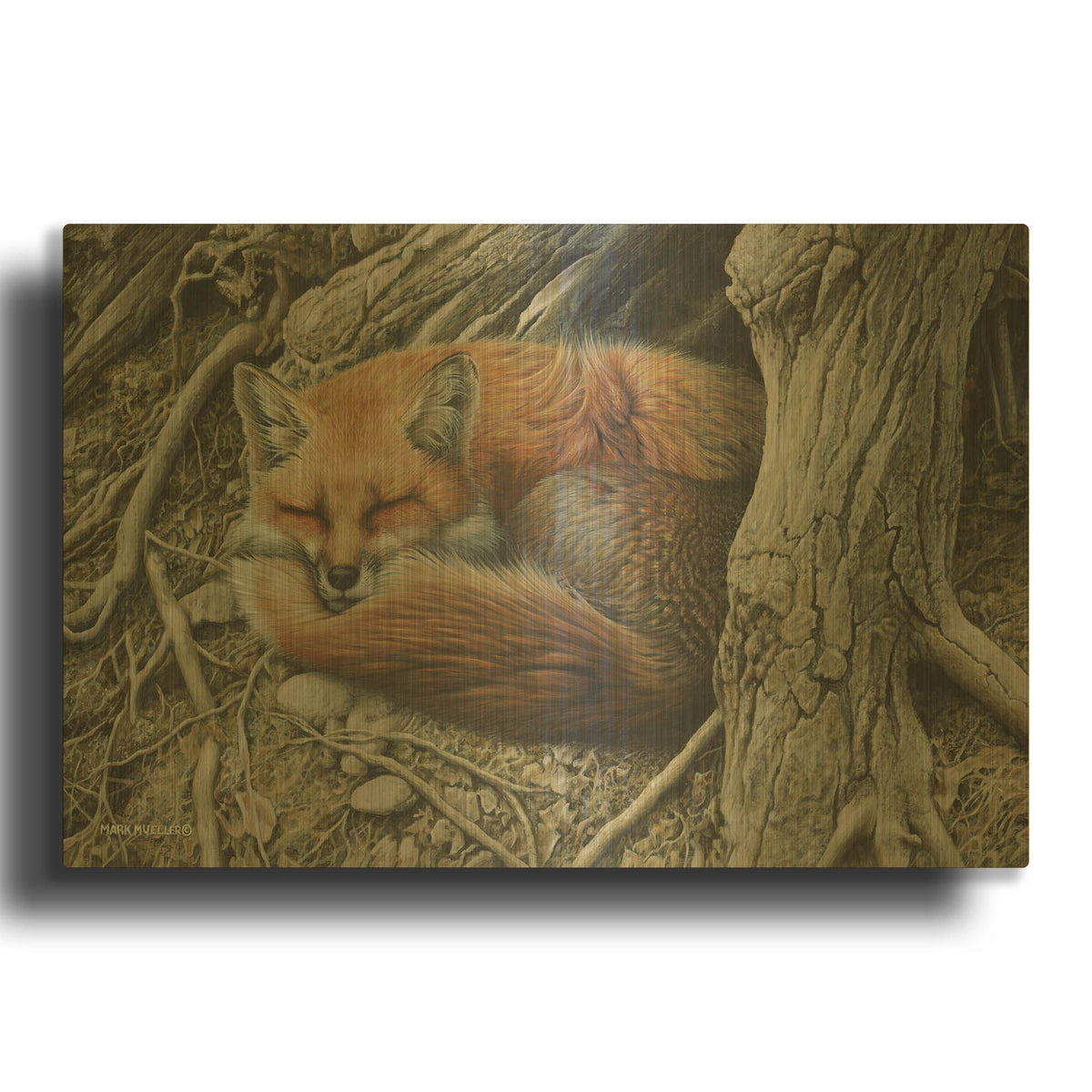 'Sleepy Hollow - Red Fox' By Mark Mueller Wildlife Art Gold Metal Wall Art
