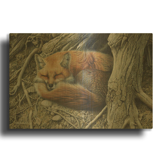 'Sleepy Hollow - Red Fox' By Mark Mueller Wildlife Art Gold Metal Wall Art