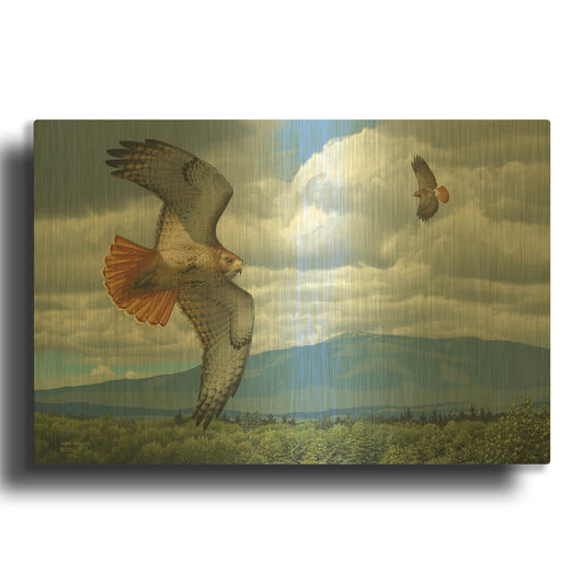 'Soaring Over the Pines - Red-tailed Hawks' By Mark Mueller Wildlife Art Gold Metal Wall Art